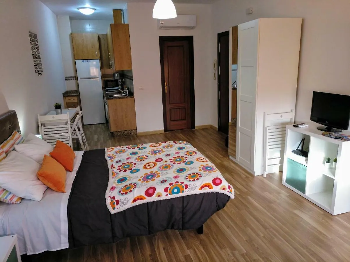 アパート Apartamento Domingo Lozano マラガ